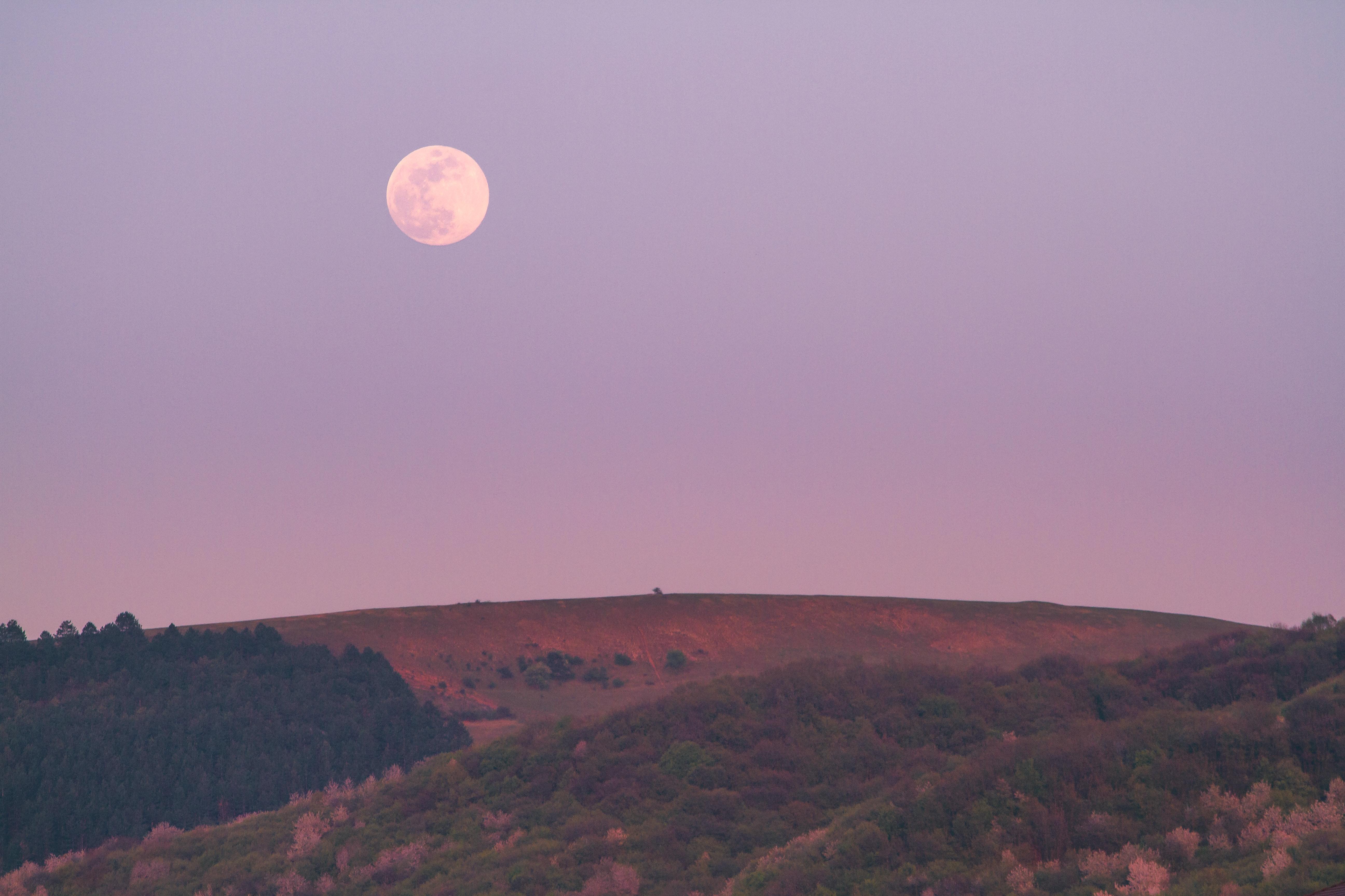 How The Moon Can Affect You + What You Can Do About It | By Shelly Burton