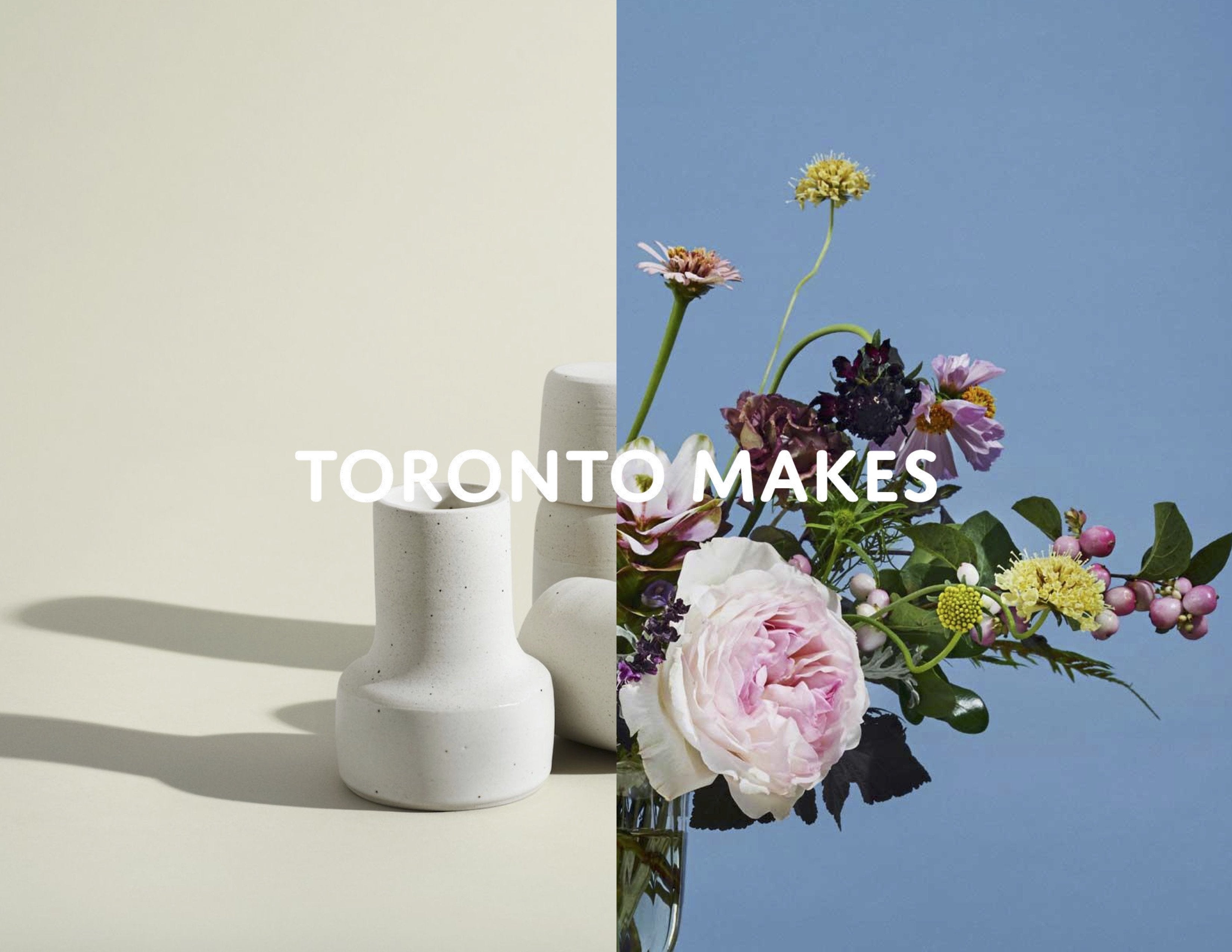 Why we love Toronto makers and the Toronto Makes project!