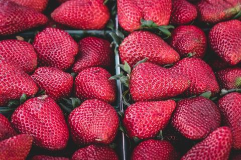 Active Ingredient | Strawberry