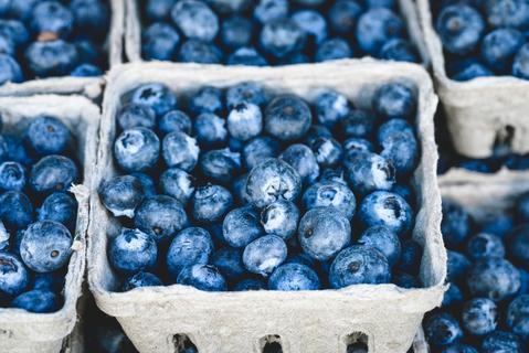 Active Ingredient | Wild Canadian Blueberries