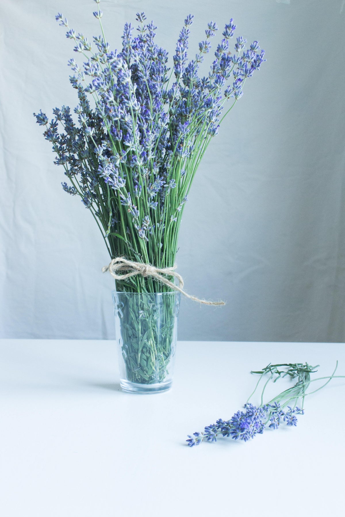 How to winterize lavender