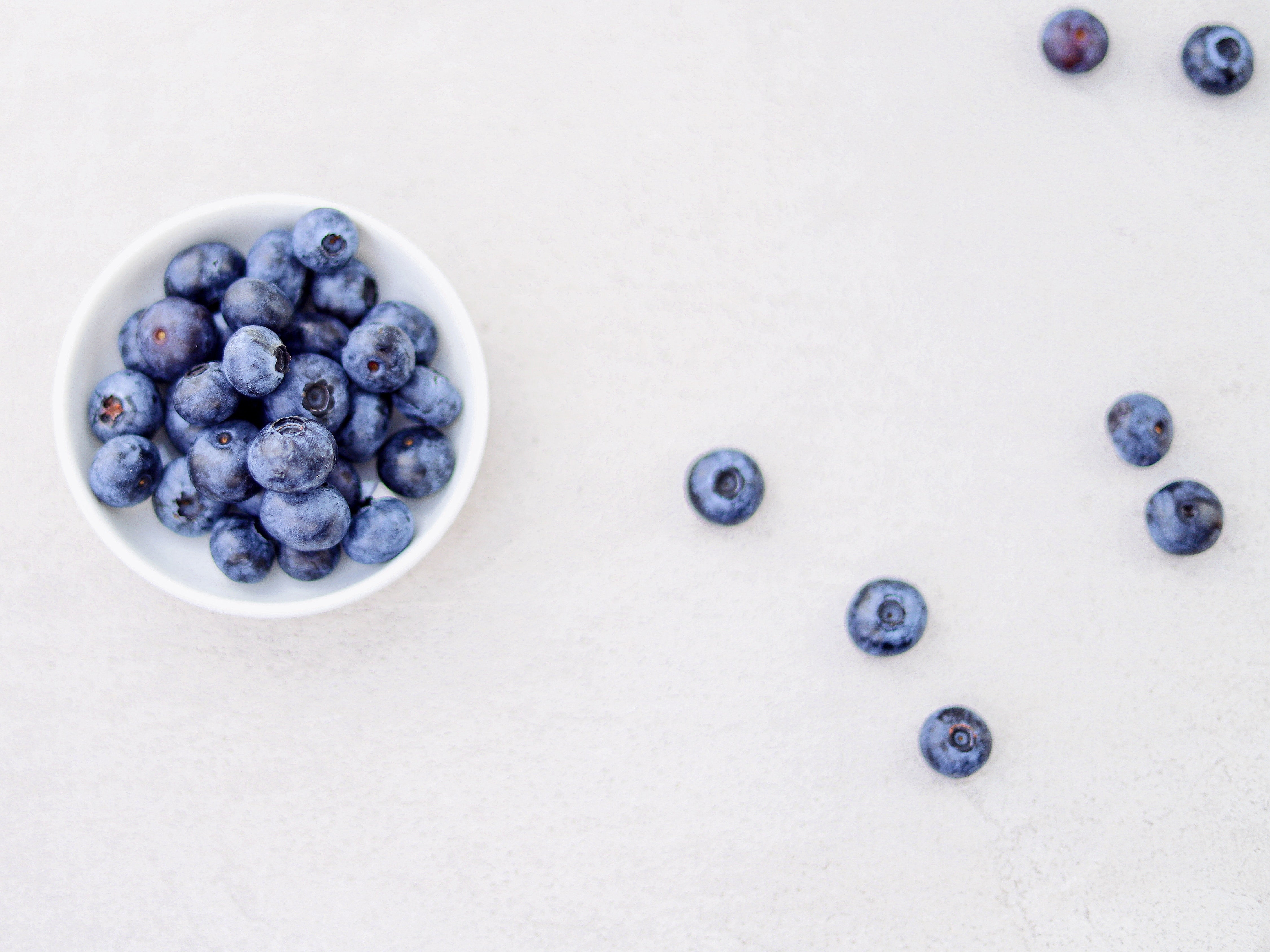 Everything You Need to Know About Blueberries!
