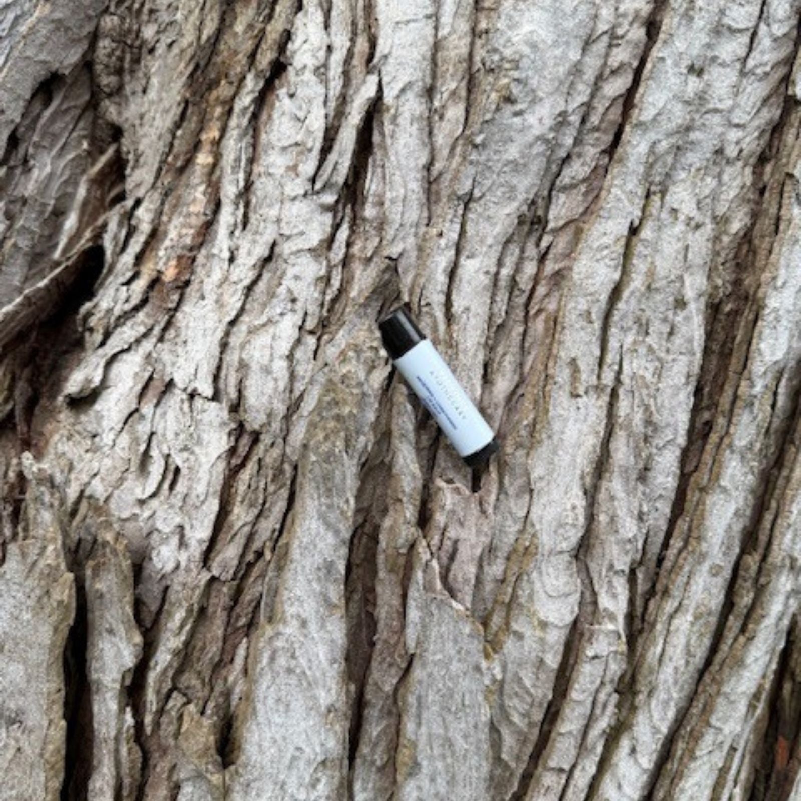 Repairing + Conditioning Lip Balm